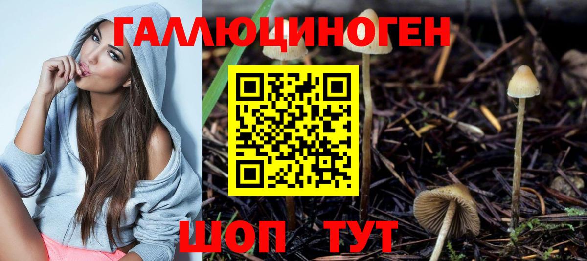 Чебоксары  магазин продажи наркотиков  Вход с VPN  Галлюциногенные грибы Psilocybine cubensis 
