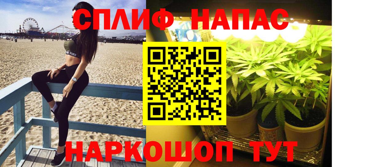 Конопля гибрид Чебоксары